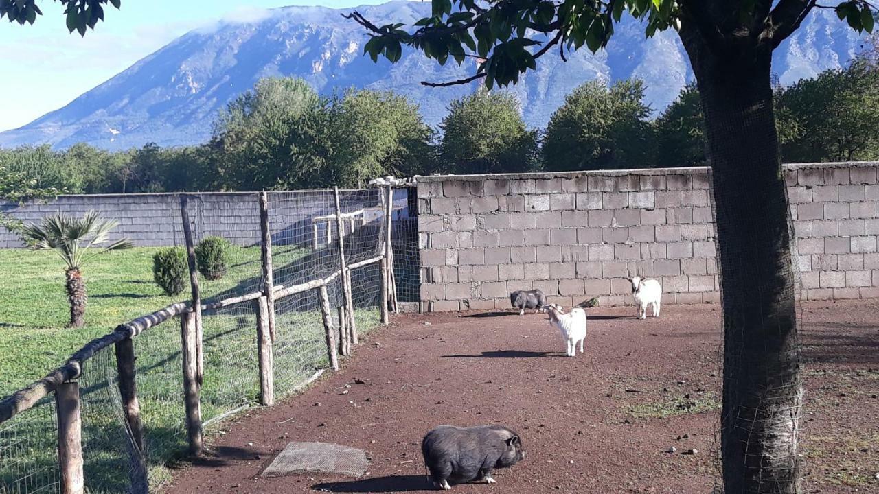 Отель Agriturismo Carlo Cioffi Rotondi Экстерьер фото